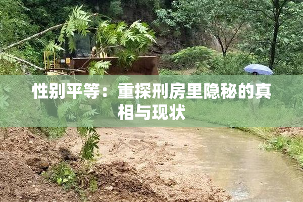 性别平等：重探刑房里隐秘的真相与现状