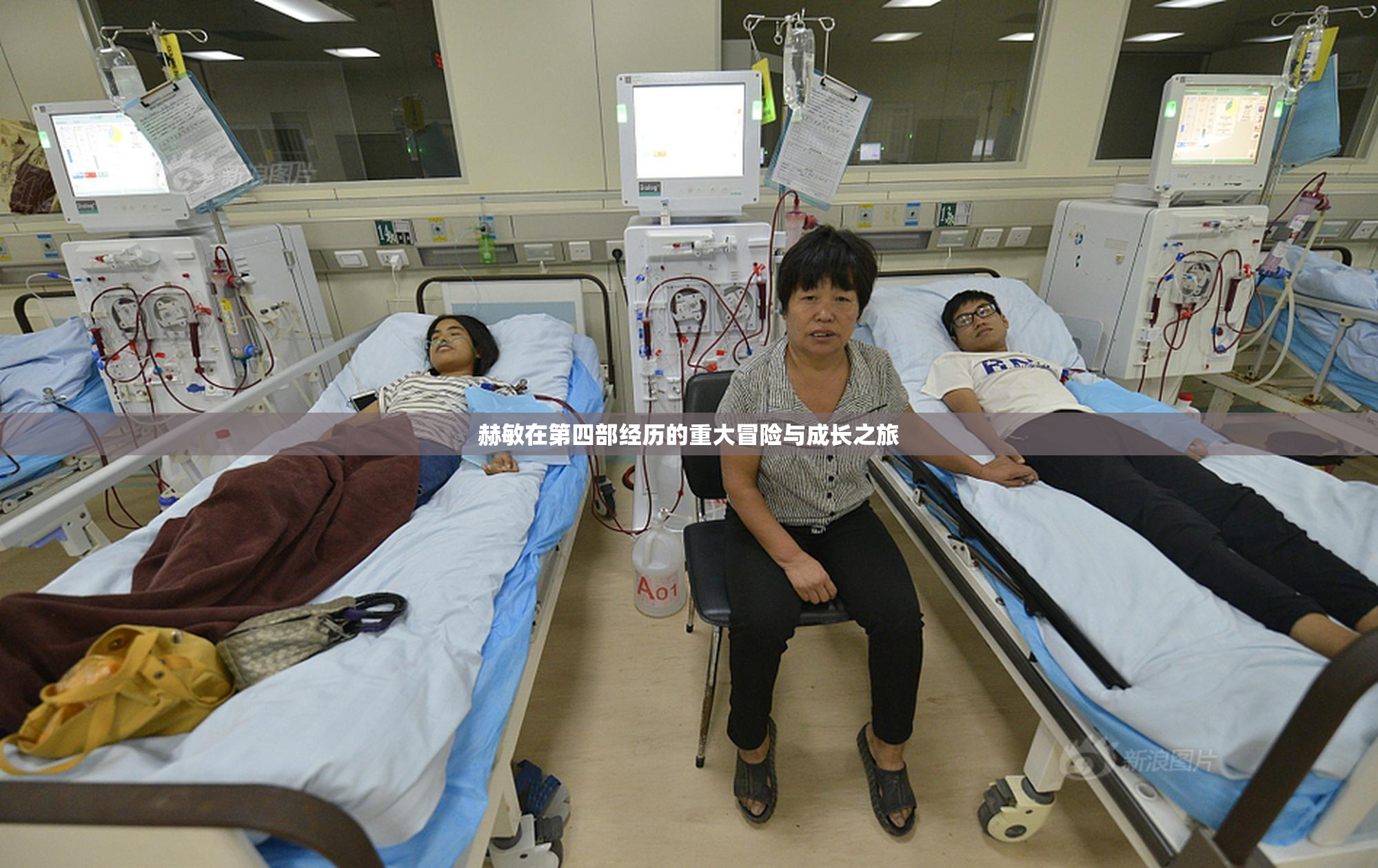 赫敏在第四部经历的重大冒险与成长之旅