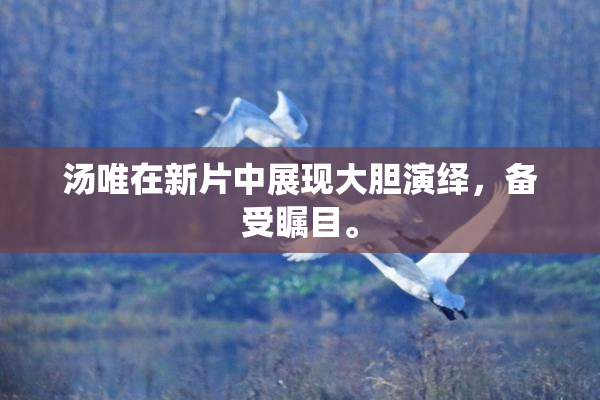 汤唯在新片中展现大胆演绎，备受瞩目。