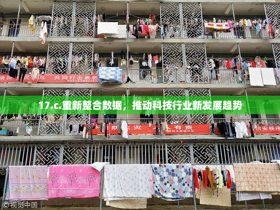 17.c.重新整合数据，推动科技行业新发展趋势