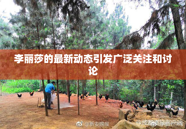 李丽莎的最新动态引发广泛关注和讨论