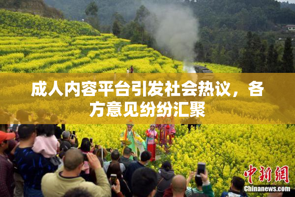 成人内容平台引发社会热议，各方意见纷纷汇聚