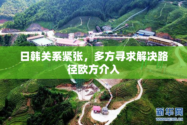 日韩关系紧张，多方寻求解决路径欧方介入