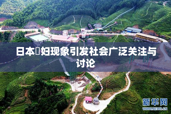 日本婬妇现象引发社会广泛关注与讨论