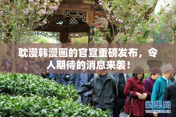 耽漫韩漫画的官宣重磅发布，令人期待的消息来袭！