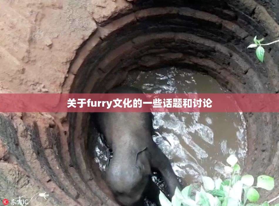 关于furry文化的一些话题和讨论