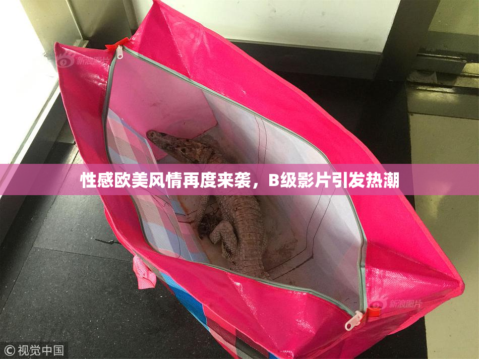 性感欧美风情再度来袭，B级影片引发热潮