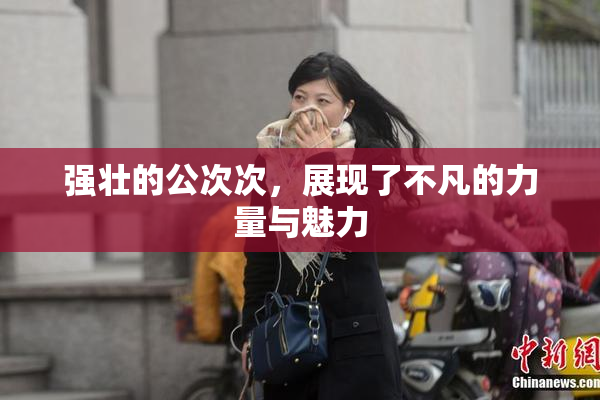 强壮的公次次，展现了不凡的力量与魅力