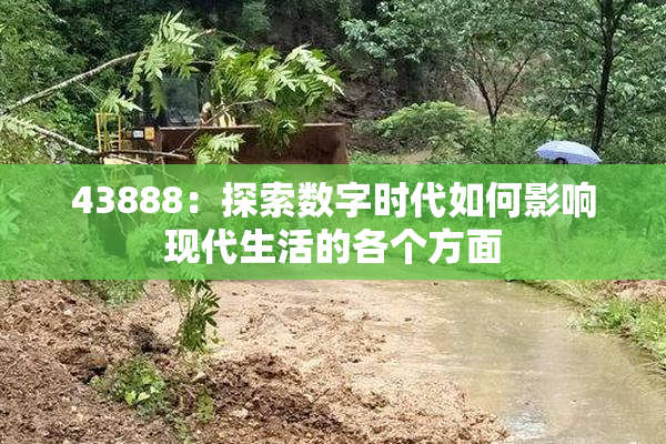 43888：探索数字时代如何影响现代生活的各个方面