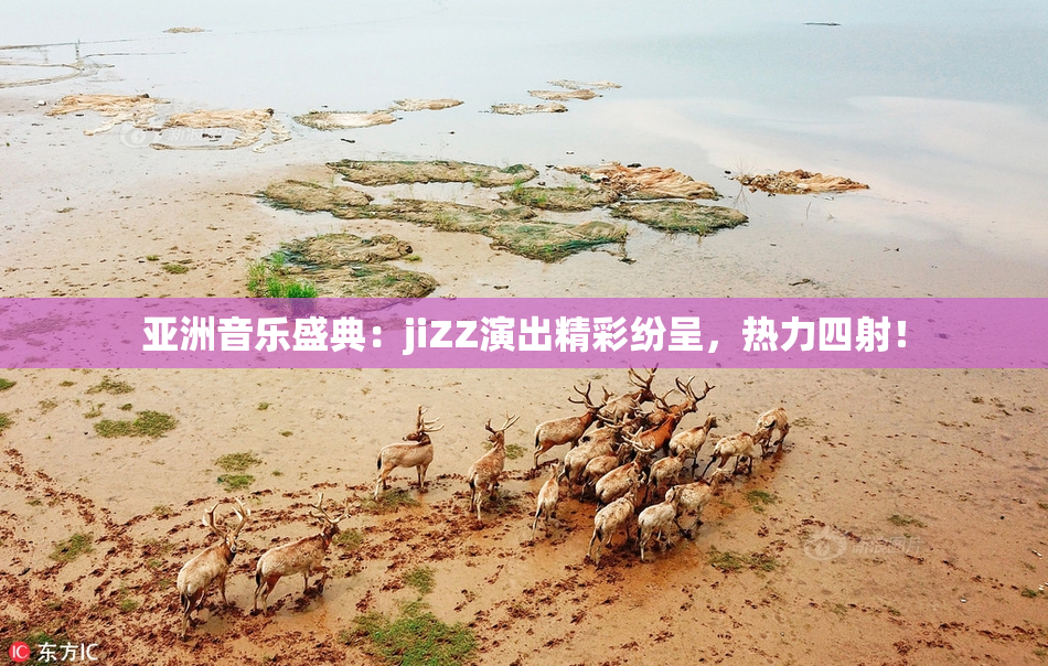 亚洲音乐盛典：jiZZ演出精彩纷呈，热力四射！