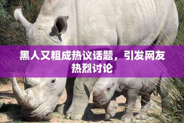 黑人又粗成热议话题，引发网友热烈讨论