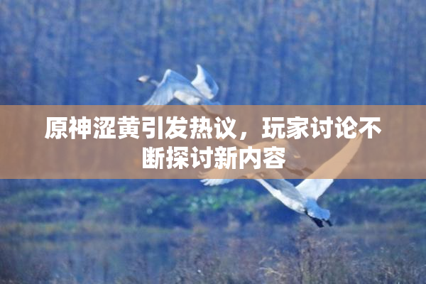 原神涩黄引发热议，玩家讨论不断探讨新内容