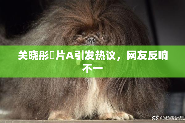 关晓彤婬片A引发热议，网友反响不一
