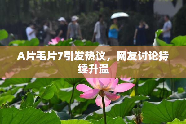A片毛片7引发热议，网友讨论持续升温