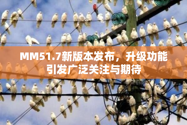 MM51.7新版本发布，升级功能引发广泛关注与期待