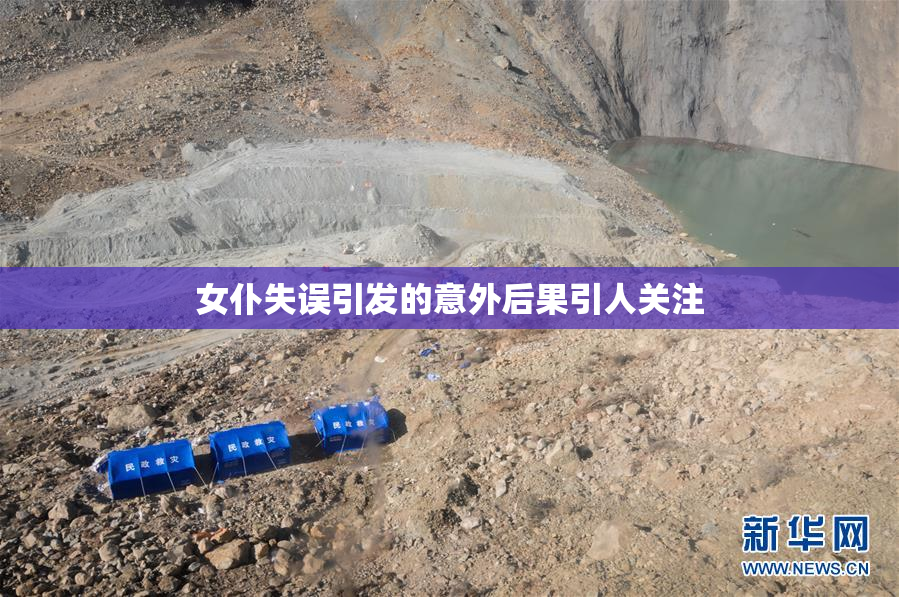 女仆失误引发的意外后果引人关注