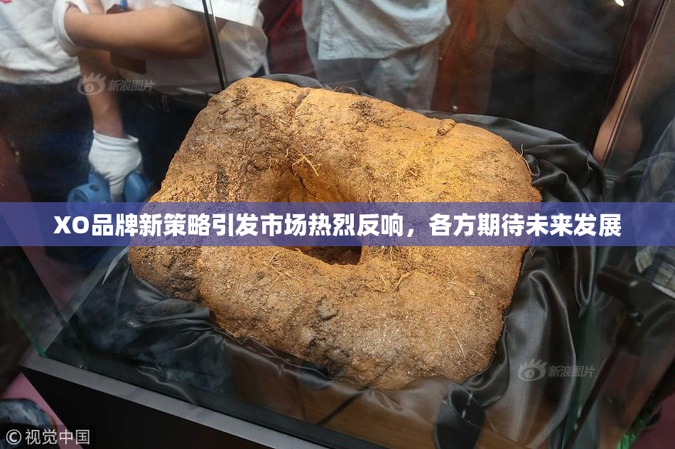 XO品牌新策略引发市场热烈反响，各方期待未来发展