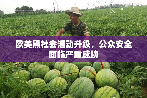 欧美黑社会活动升级，公众安全面临严重威胁
