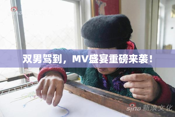 双男驾到，MV盛宴重磅来袭！