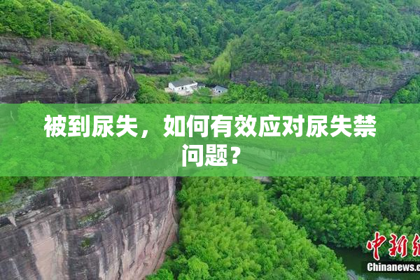 被到尿失，如何有效应对尿失禁问题？