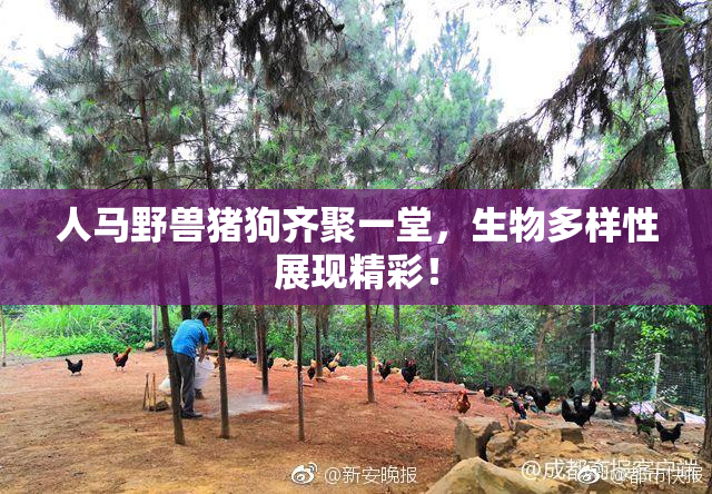 人马野兽猪狗齐聚一堂，生物多样性展现精彩！