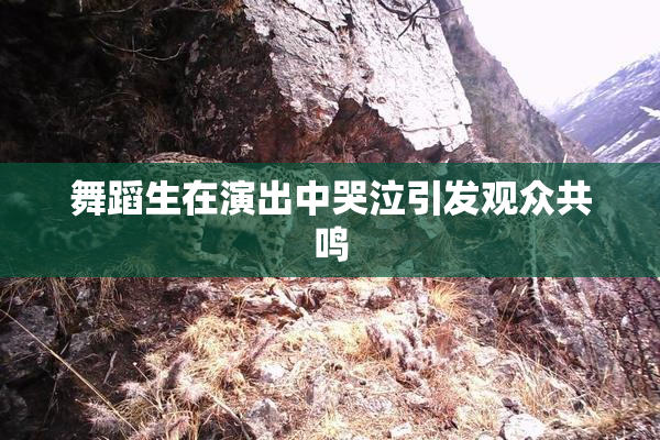 舞蹈生在演出中哭泣引发观众共鸣