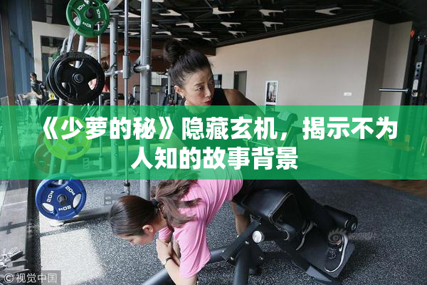 《少萝的秘》隐藏玄机，揭示不为人知的故事背景