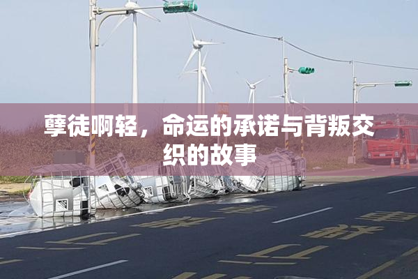 孽徒啊轻，命运的承诺与背叛交织的故事