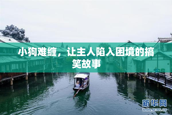 小狗难缠，让主人陷入困境的搞笑故事