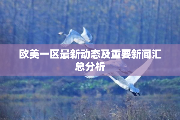 欧美一区最新动态及重要新闻汇总分析