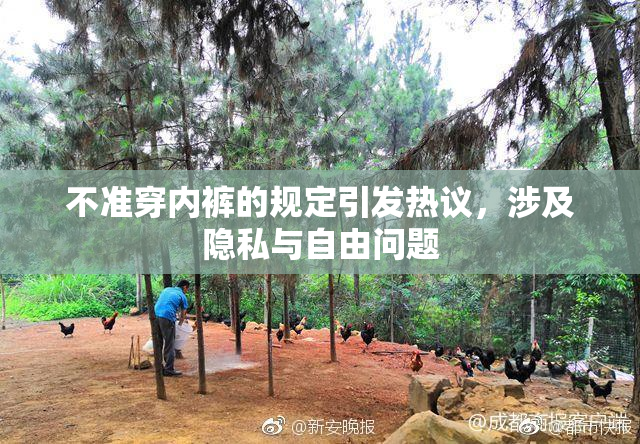 不准穿内裤的规定引发热议，涉及隐私与自由问题