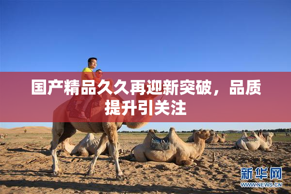 国产精品久久再迎新突破，品质提升引关注