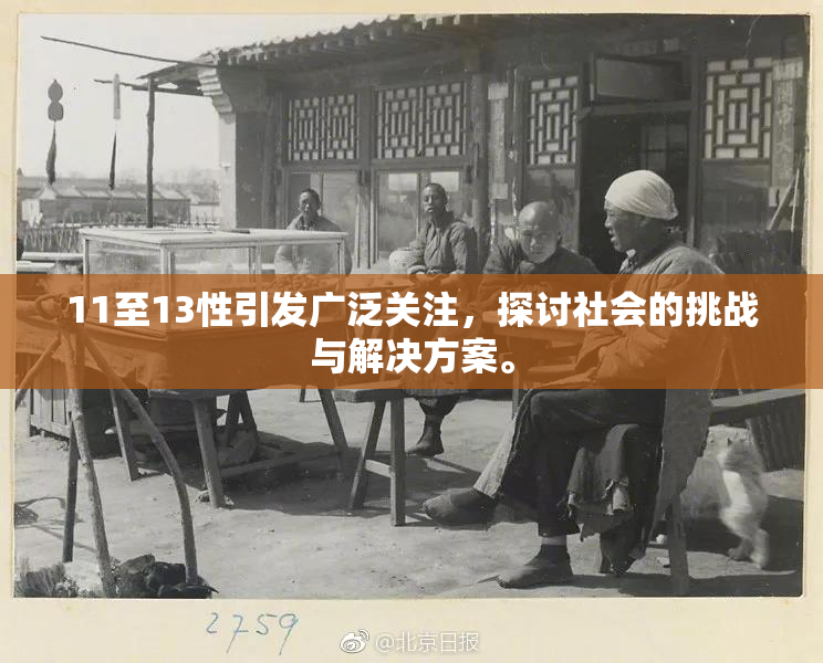11至13性引发广泛关注，探讨社会的挑战与解决方案。