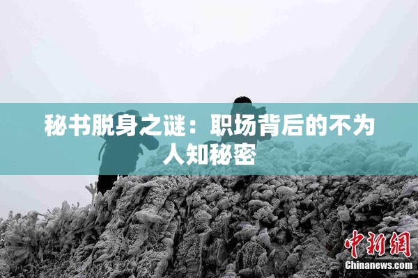 秘书脱身之谜：职场背后的不为人知秘密