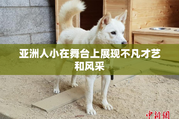 亚洲人小在舞台上展现不凡才艺和风采