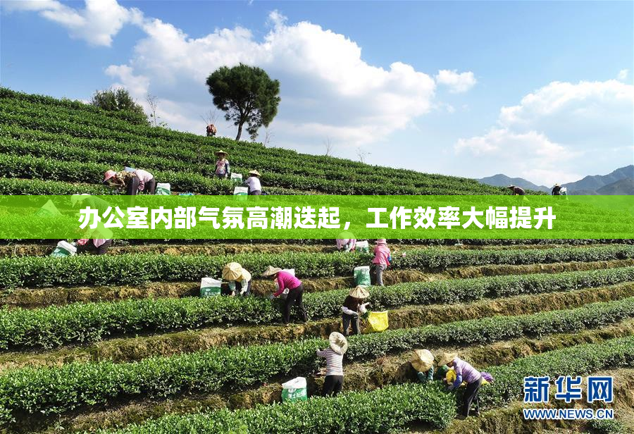 办公室内部气氛高潮迭起，工作效率大幅提升
