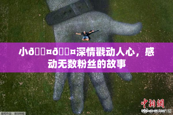 小🐤🐤深情戳动人心，感动无数粉丝的故事