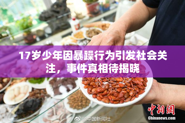17岁少年因暴躁行为引发社会关注，事件真相待揭晓