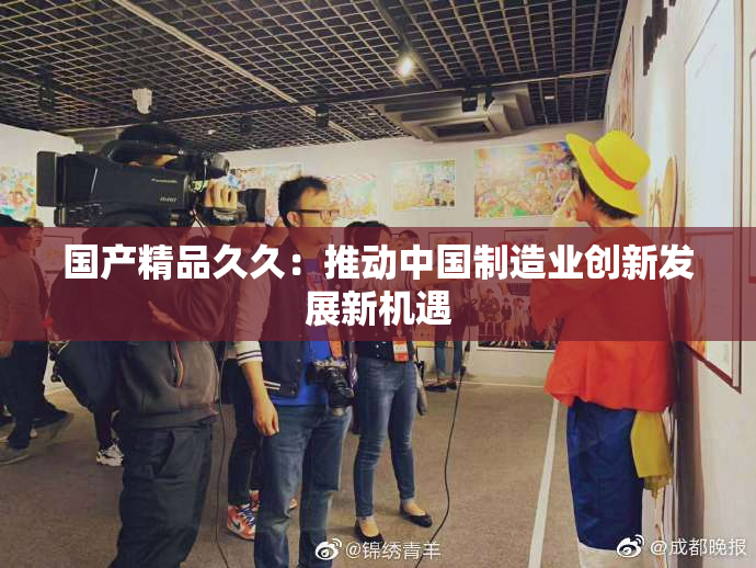 国产精品久久：推动中国制造业创新发展新机遇