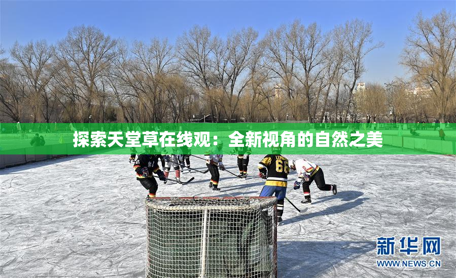 探索天堂草在线观：全新视角的自然之美