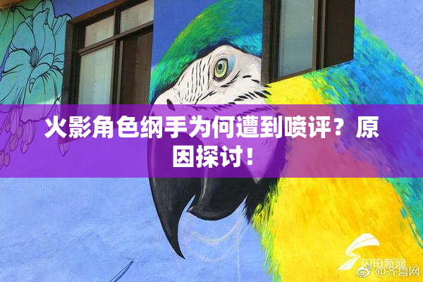 火影角色纲手为何遭到喷评？原因探讨！