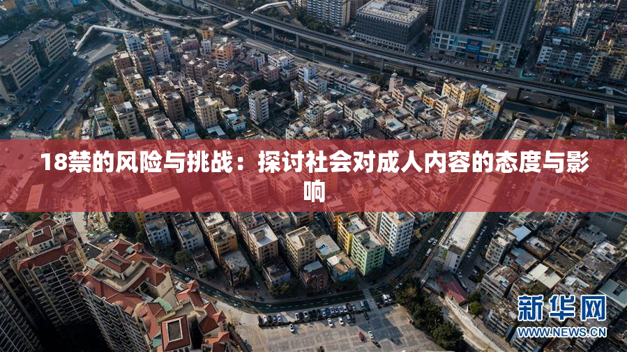 18禁的风险与挑战：探讨社会对成人内容的态度与影响
