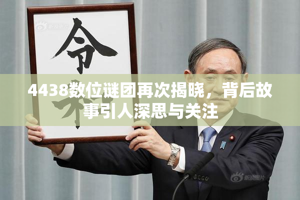 4438数位谜团再次揭晓，背后故事引人深思与关注