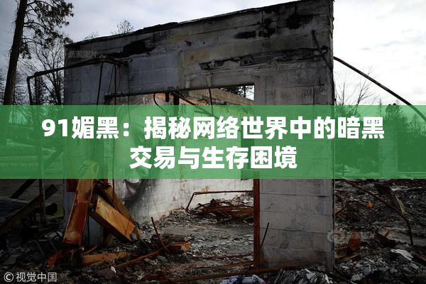 91媚黑：揭秘网络世界中的暗黑交易与生存困境