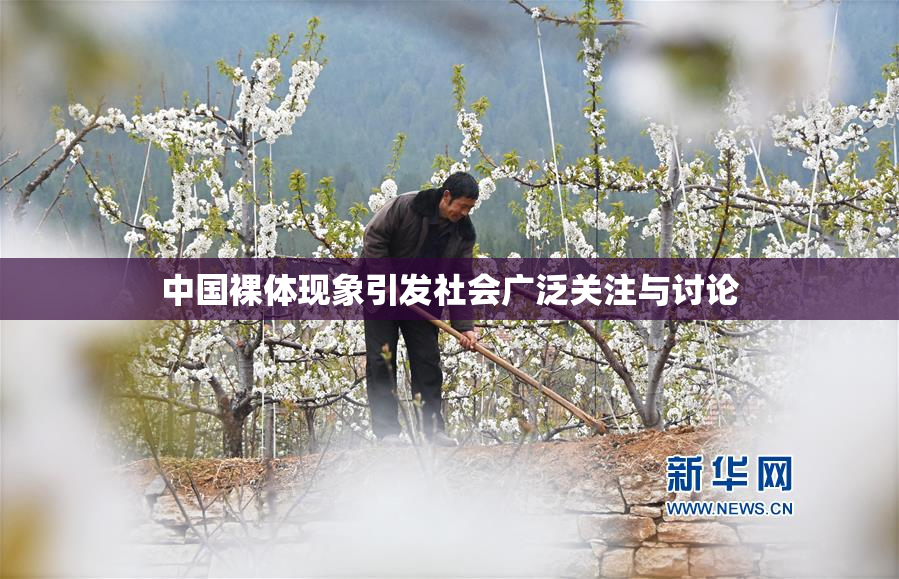 中国裸体现象引发社会广泛关注与讨论