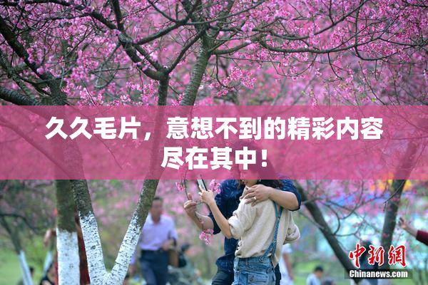 久久毛片，意想不到的精彩内容尽在其中！