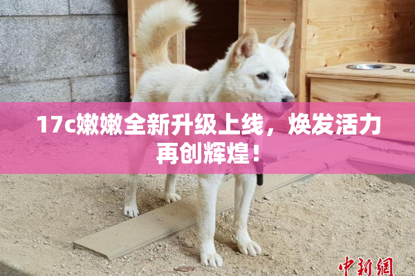 17c嫩嫩全新升级上线，焕发活力再创辉煌！