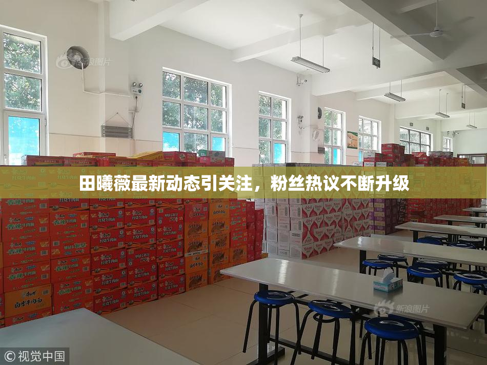 田曦薇最新动态引关注，粉丝热议不断升级