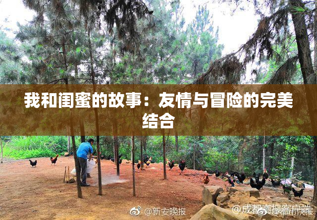 我和闺蜜的故事：友情与冒险的完美结合