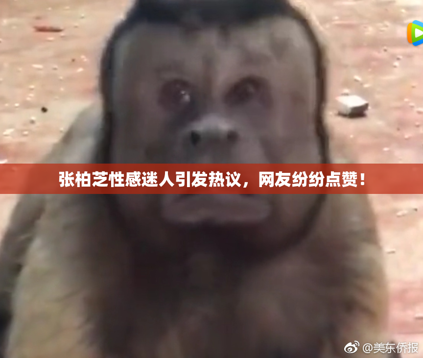 张柏芝性感迷人引发热议，网友纷纷点赞！